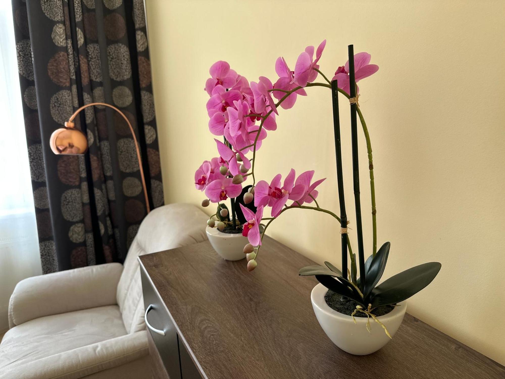 Apartment Zeyerova4 Karlowe Wary Zewnętrze zdjęcie